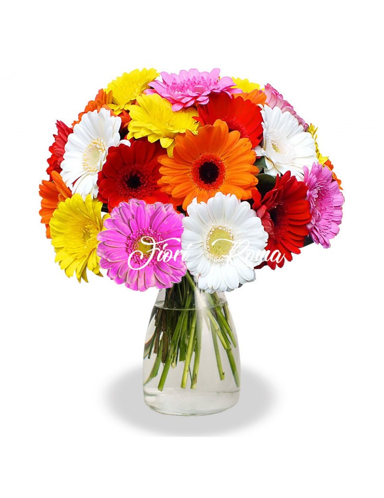 Mixed color gerberas bouquet at cheap price