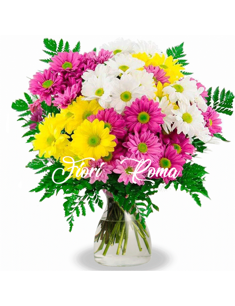 The Bouquet is made up of Daisies of various colors that can be purchased at the Florist in Via Candia Rome